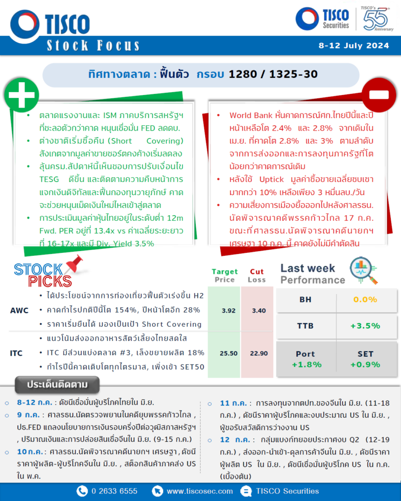 TISCO Stock Focus